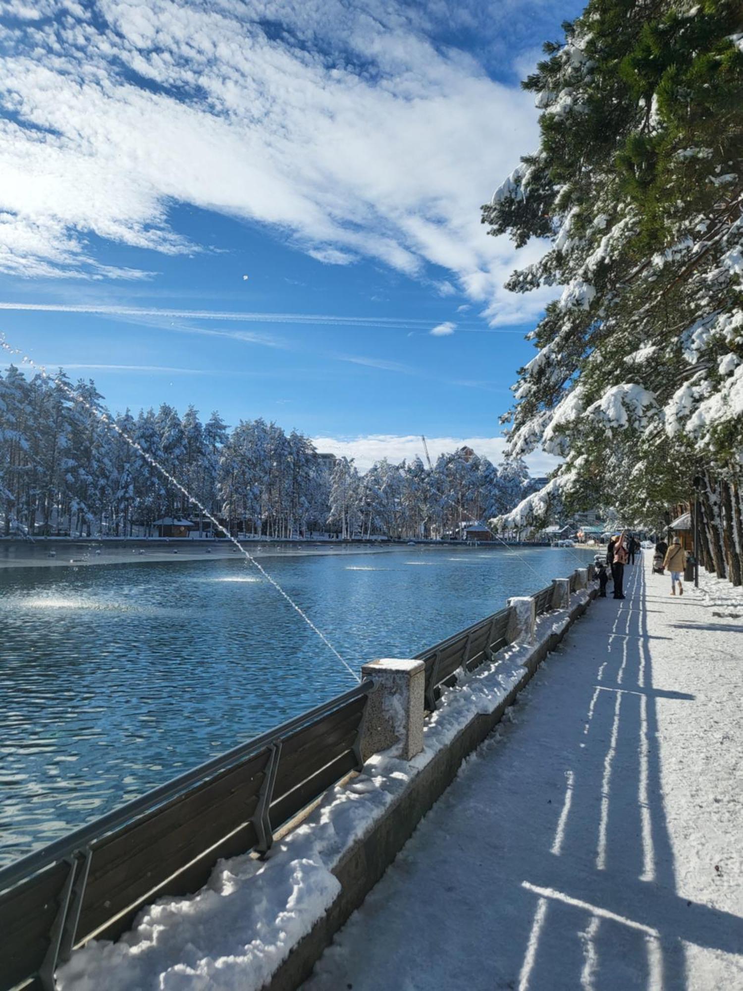 Apartments Vila Velickovic Zlatibor Buitenkant foto