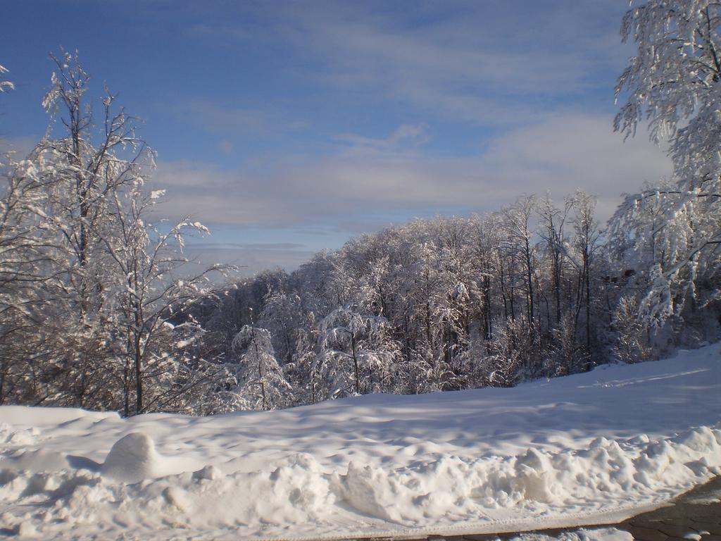 Apartments Vila Velickovic Zlatibor Buitenkant foto