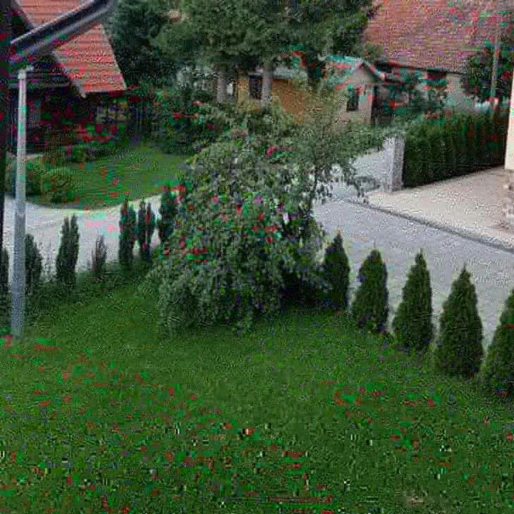 Apartments Vila Velickovic Zlatibor Buitenkant foto